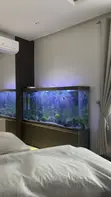 Custom Built Aquarium with 30 Fish - 5