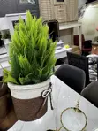 Desktop Decorative Flower - 2