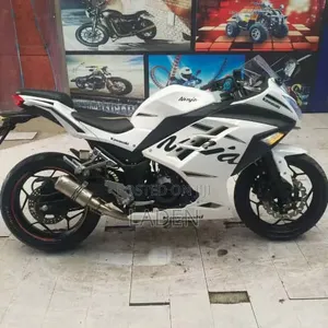 Kawasaki Ninja 300 (2023) - Sport Bike