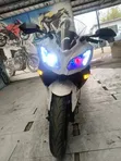 Kawasaki Ninja 300 (2023) - Sport Bike - 5