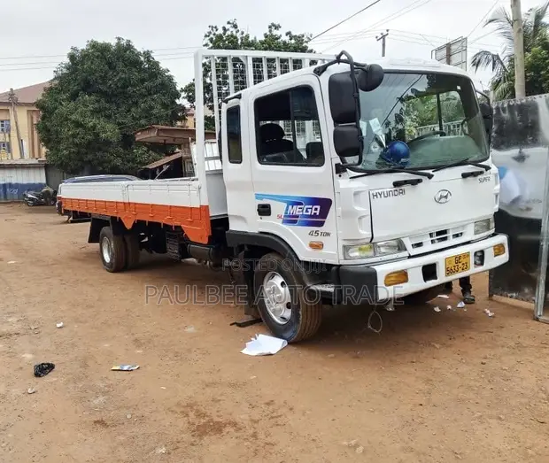 Hyundai Mega Truck 2005 White - 1
