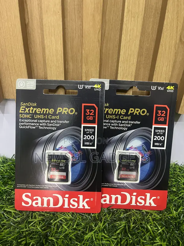 Sandisk 32GB SD Card - 1