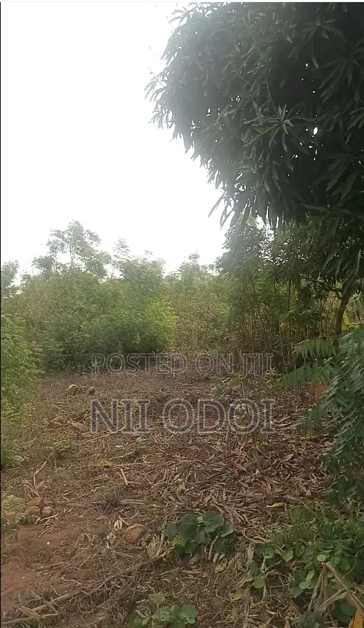 10 Acres Land for Sale at Ojobi Senya Beraku Road - 1