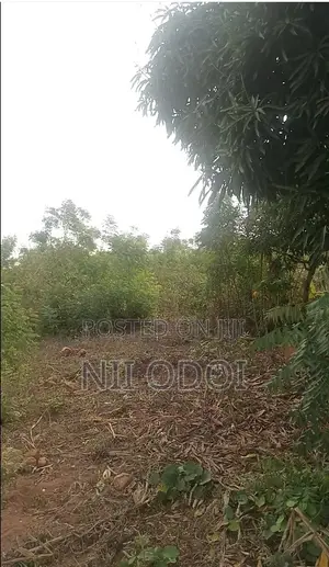 10 Acres Land for Sale at Ojobi Senya Beraku Road