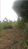 10 Acres Land for Sale at Ojobi Senya Beraku Road - 1