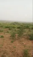 10 Acres Land for Sale at Ojobi Senya Beraku Road - 2