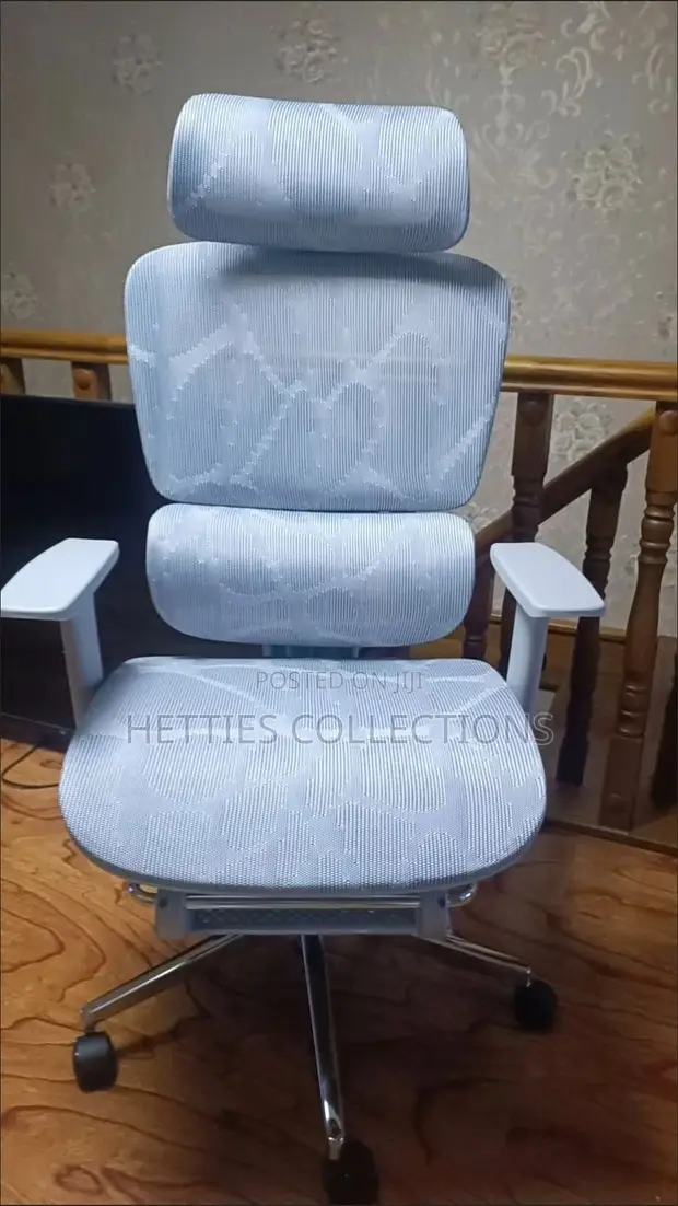 High-End Dragon Mesh Office Chair - 1