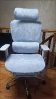 High-End Dragon Mesh Office Chair - 1