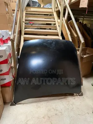 Honda Accord Hood (2003-2007)