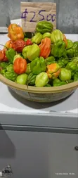 Food Stuffs at Linkay Convenient Store - 2