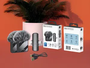 F15-2 Crystal Clear Dual Wireless Microphone System