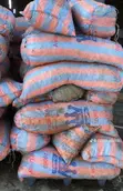 Fresh Ginger - 45kg Bag - 1