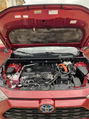 Professional Car Interior Cleaning & Engine Wash - Home Service