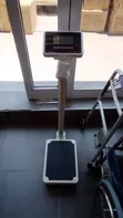 Digital Scale with Height Rod (BMI) - 1