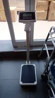 Digital Scale with Height Rod (BMI) - 2