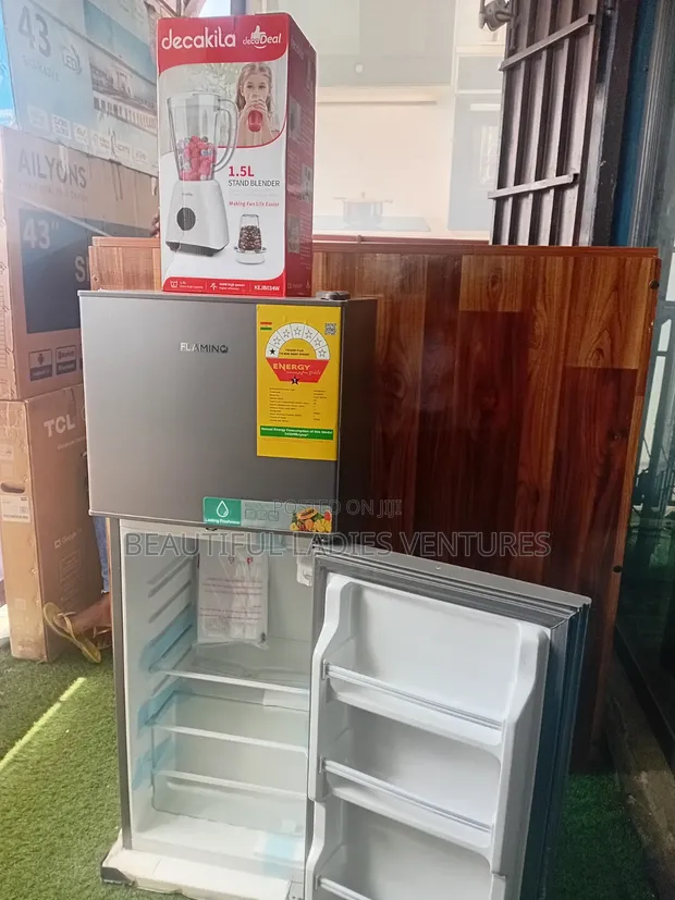 Smart Choice Flamino Refrigerator 91 Litre - 1