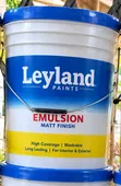 Leyland Emulsion Paint - 20 Litres - 2