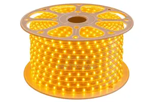 Golden Light LED Decorative Lamp