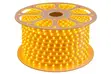Golden Light LED Decorative Lamp - 2