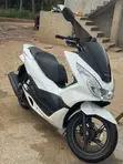 Honda PCX 150 Scooter 2023 - 3