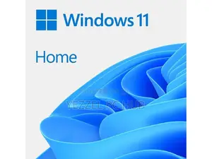 Professional Windows Installation Service
