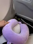 Premium Travel Neck Pillow - 2