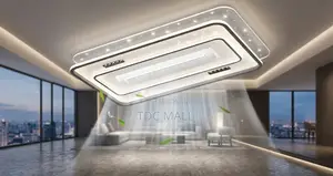 Modern Ceiling Fanlight with Remote Control