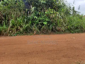 Reduced Price: Litigation-Free Land in Mankessim Gyadu Nkwanta