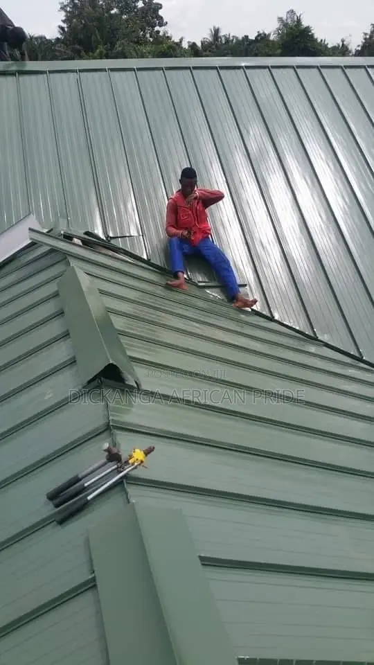 Dickanga: Roofing, Waterproofing & Glass Works - 1