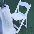 Royal Comfort Fan Back Foldable Chair - 2