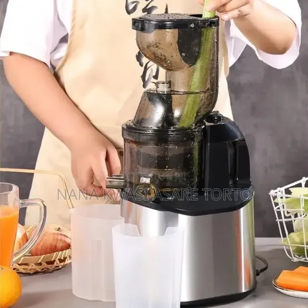 300W Quality Slow Juicer - 1