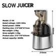 300W Quality Slow Juicer - 2