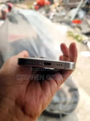 Apple iPhone 15 Pro Max 256GB Silver