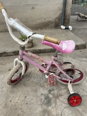 Kids Bicycle with Wheel Support