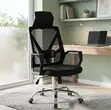 Artiss Mesh Office Chair - Lumbar Support - 1