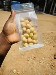 Organic Macadamia Nuts 130g - 2