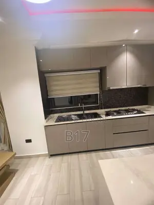 Window Blinds & Curtains Installation - B17