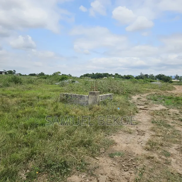 Two Plots of Land for Sale in Asebi - 1
