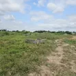 Two Plots of Land for Sale in Asebi - 1