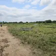 Two Plots of Land for Sale in Asebi - 2