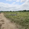 Two Plots of Land for Sale in Asebi - 3