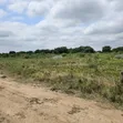 Two Plots of Land for Sale in Asebi - 5