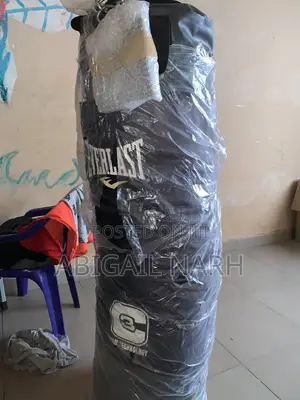 Everlast Punching Bag - Brand New
