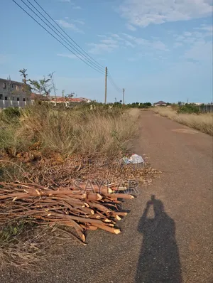 2 Plots for Sale - Palm Ridge Comm24 Commercial Side