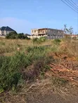 2 Plots for Sale - Palm Ridge Comm24 Commercial Side - 4