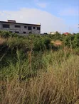 2 Plots for Sale - Palm Ridge Comm24 Commercial Side - 5