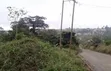 8 Plots of Land for Sale at Aburi Obosomase - 5