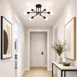 Mythco Black 6-Light Sputnik Chandelier - 3