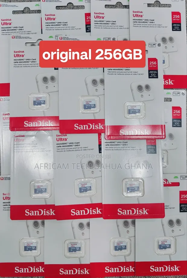 SanDisk 256GB SD Card for CCTV, Cameras, Solar - 1