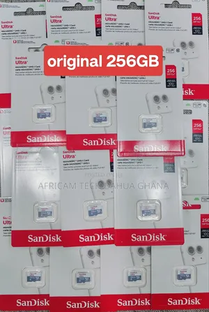 SanDisk 256GB SD Card for CCTV, Cameras, Solar